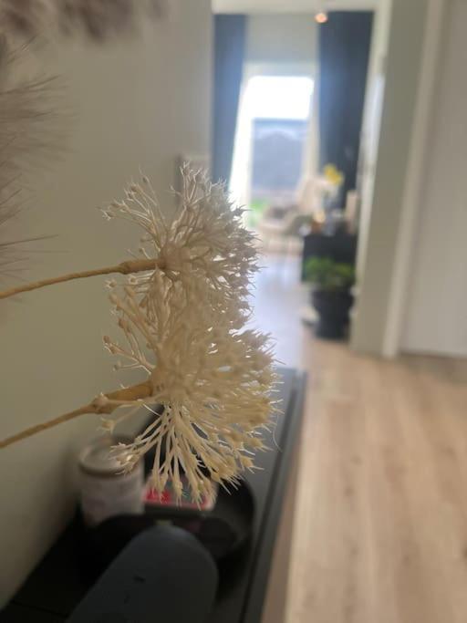Apartament Golden Circle House 1 Selfoss Zewnętrze zdjęcie